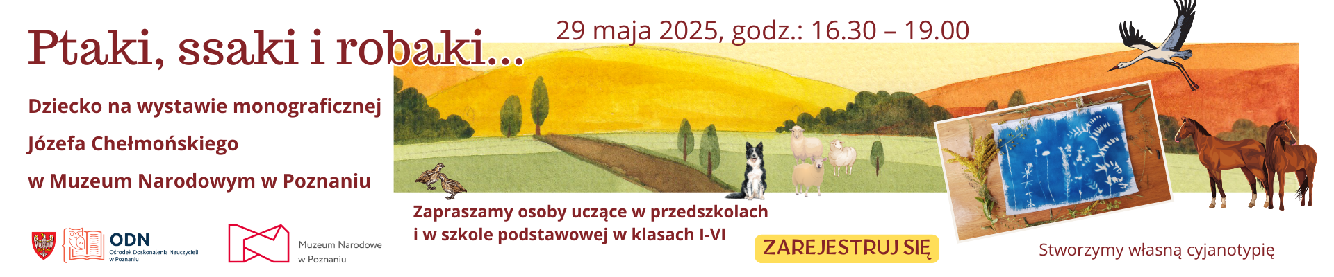 WR48 Ptaki, ssaki i robaki...